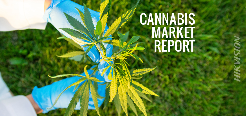 Hikvision HikWire blog article Cannabis Industry Report