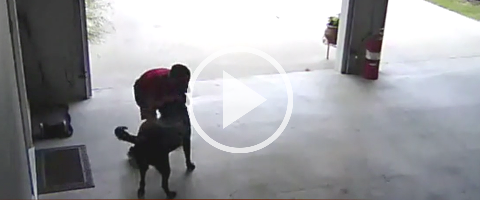 9-Year-Old Sneaks Into Garage to Hug Neighbor’s Dog