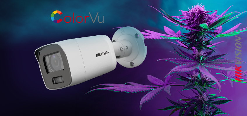 Hikvision HikWire blog article Cannabis Solutions Designed to Secure Your Property and Assets