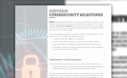 Cybersecurity Milestones Flyer